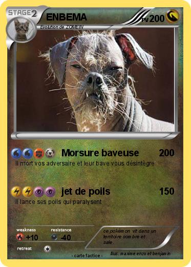 Pokemon ENBEMA