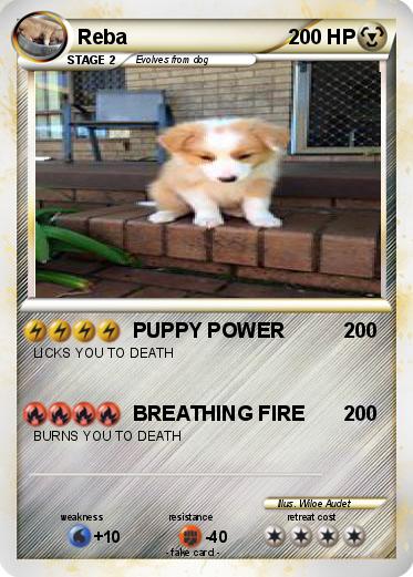 Pokemon Reba