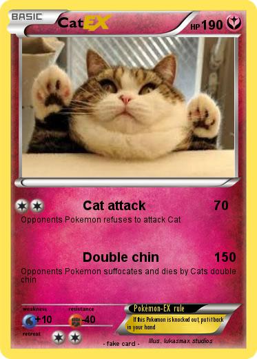 Pokemon Cat