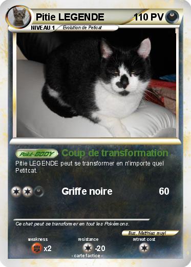 Pokemon Pitie LEGENDE