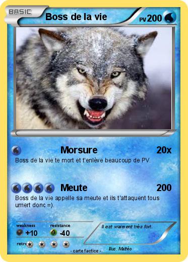 Pokemon Boss de la vie
