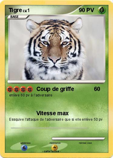 Pokemon Tigre