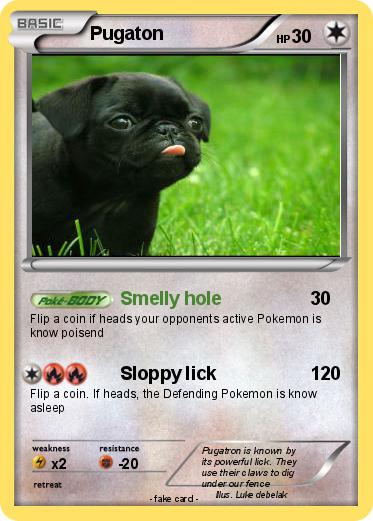Pokemon Pugaton