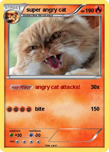 Pokemon super angry cat
