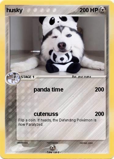 Pokemon husky