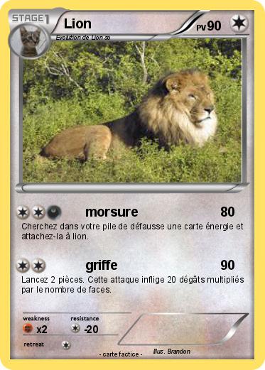 Pokemon Lion