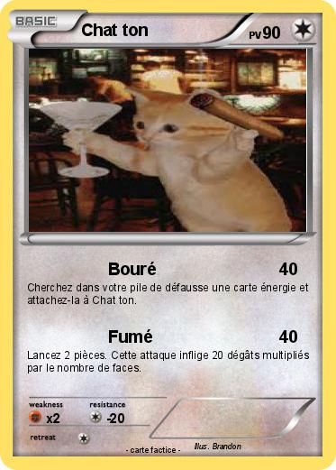 Pokemon Chat ton