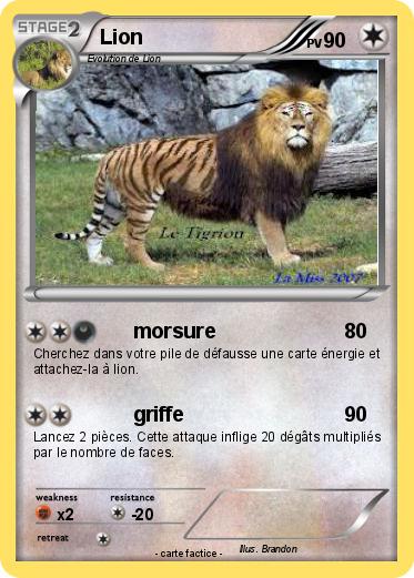 Pokemon Lion