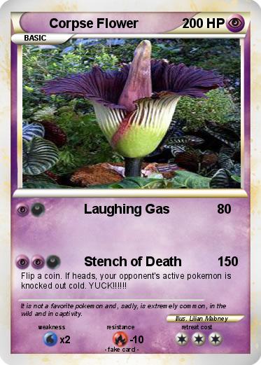 Pokemon Corpse Flower