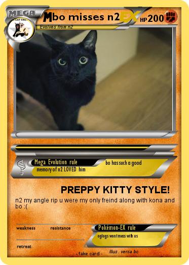 Pokemon bo misses n2