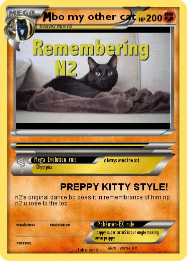 Pokemon bo my other cat