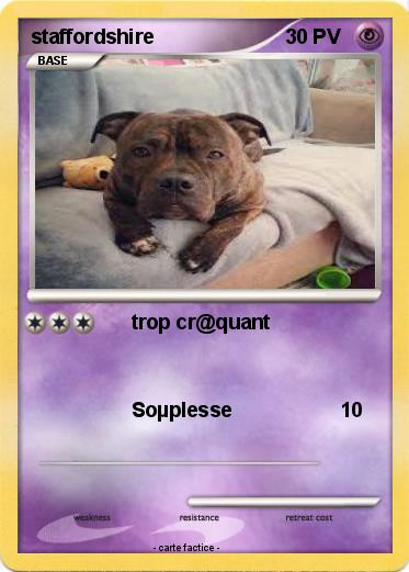 Pokemon staffordshire