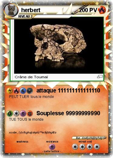 Pokemon herbert
