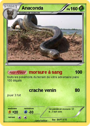 Pokemon Anaconda