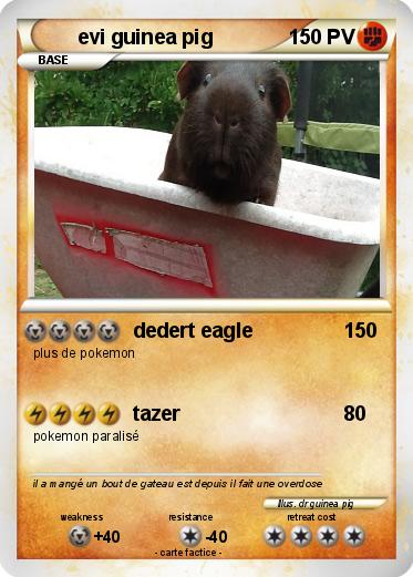 Pokemon evi guinea pig