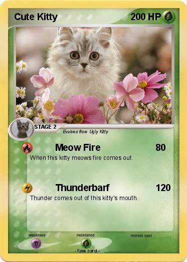 Pokemon Cute Kitty