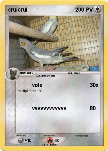 Pokemon cruicrui