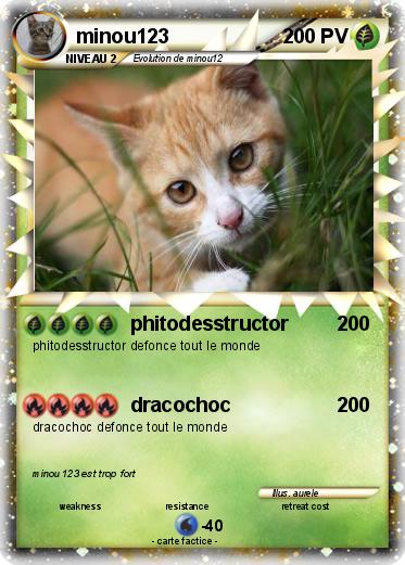 Pokemon minou123