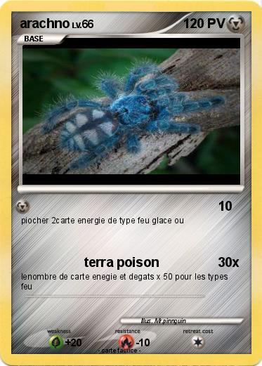 Pokemon arachno