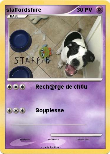 Pokemon staffordshire