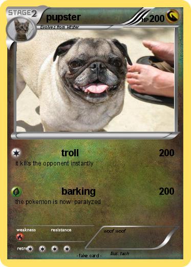 Pokemon pupster