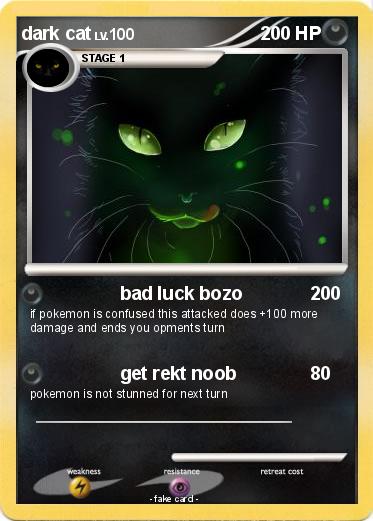 Pokemon dark cat
