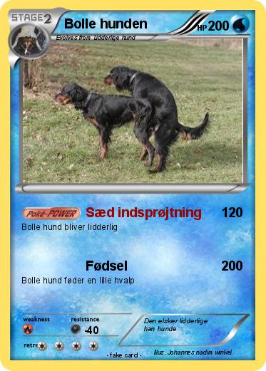 Pokemon Bolle hunden