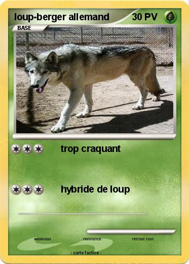 Pokemon loup-berger allemand