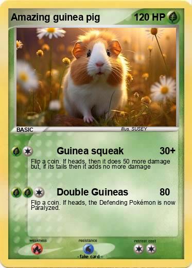 Pokemon Amazing guinea pig