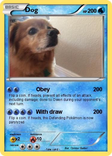 Pokemon Dog