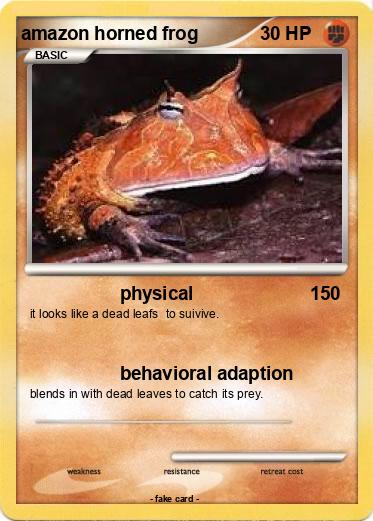 Pokemon amazon horned frog
