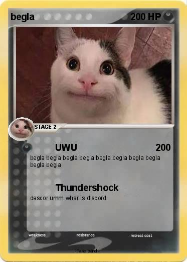 Pokemon begla