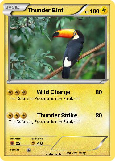 Pokemon Thunder Bird