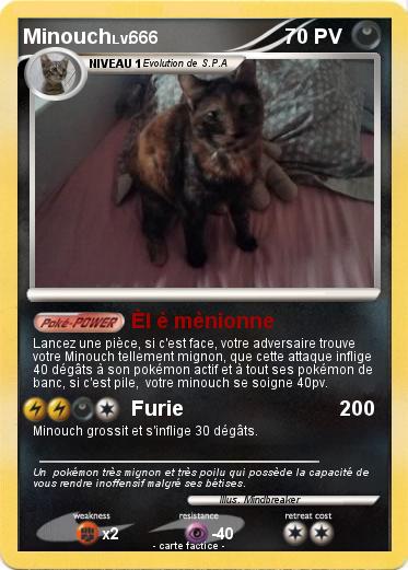 Pokemon Minouch