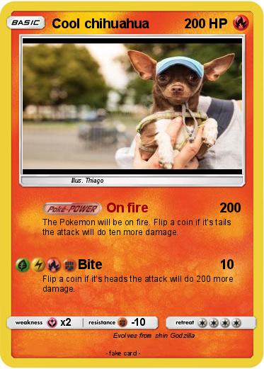 Pokemon Cool chihuahua
