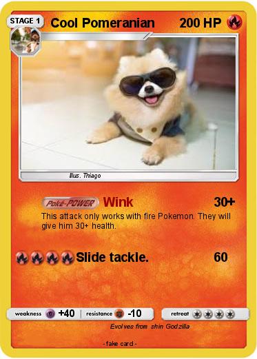 Pokemon Cool Pomeranian