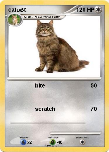 Pokemon cat