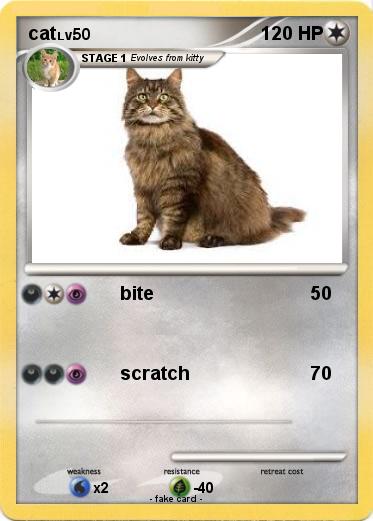 Pokemon cat