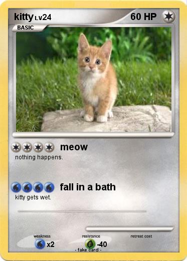 Pokemon kitty