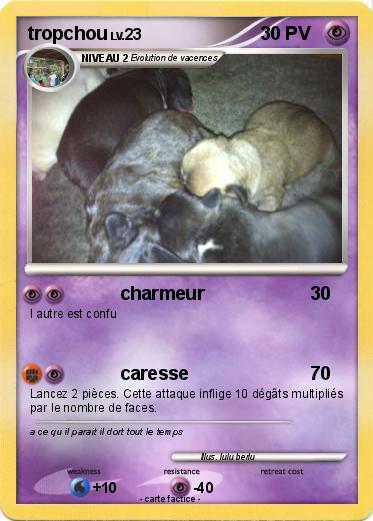 Pokemon tropchou