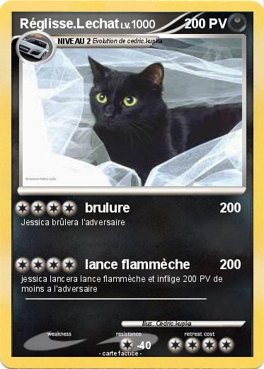 Pokemon Réglisse.Lechat