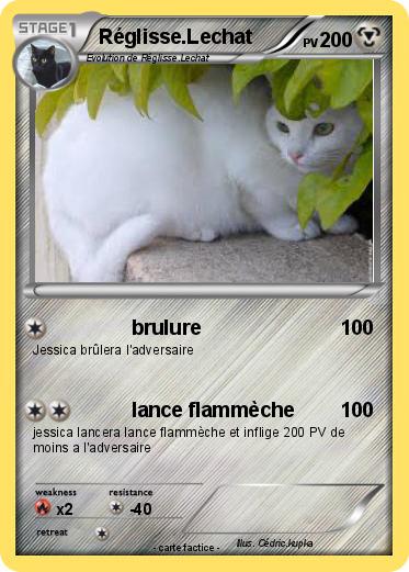 Pokemon Réglisse.Lechat