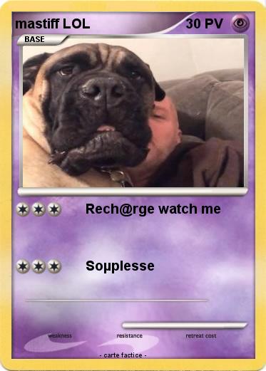 Pokemon mastiff LOL