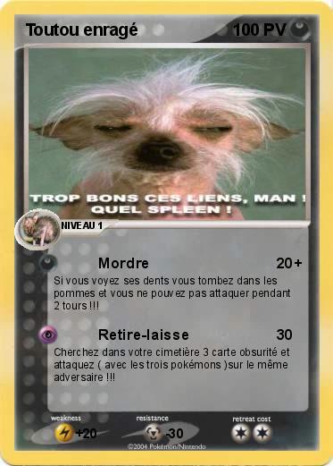 Pokemon Toutou enragé