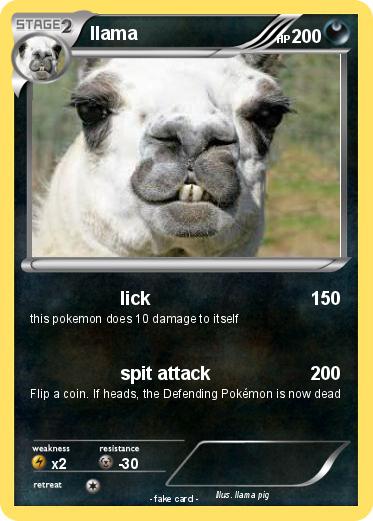 Pokemon llama