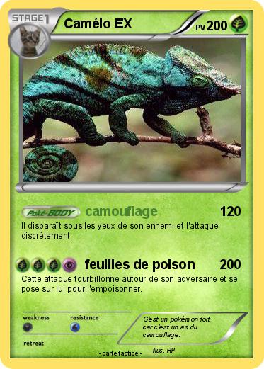 Pokemon Camélo EX