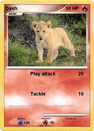 Pokemon Dash
