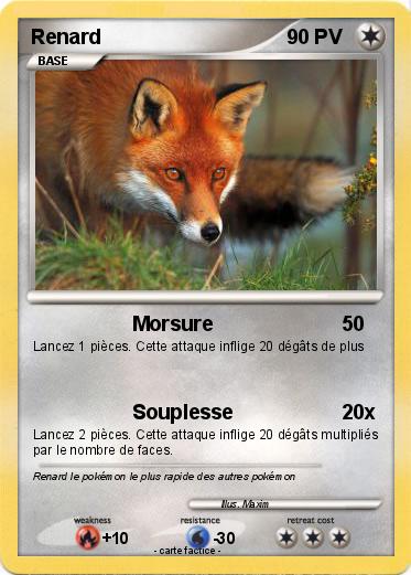 Pokemon Renard