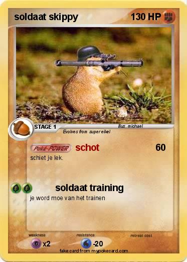 Pokemon soldaat skippy