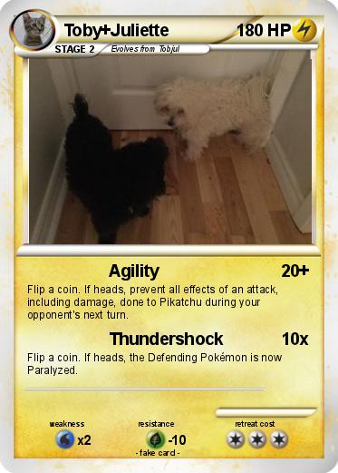 Pokemon Toby+Juliette